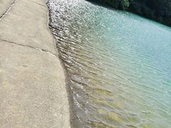 -佛山市三水区大南山森林公园