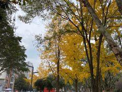 -四川大学(望江校区)