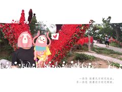 -焦作青龙峡风景名胜区