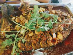 -沈胖子音乐烤吧·炒菜·龙虾(环城东路店)