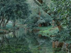 -西溪国家湿地公园