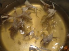 -璞御·海鲜·雪花牛肉局(宾水西道店)