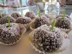 紫薯之恋-悦湖公馆