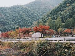-鹿亭中村