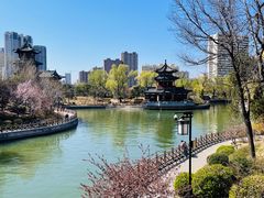 -迎泽公园
