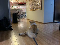 -YCHL Studios健身工作室(市二宫店)
