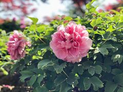 -江南大学-第一食堂(江南苑)