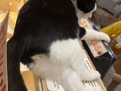 -猫的天空之城概念书店(杭州南宋御街店)