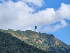 -深圳仙湖植物园