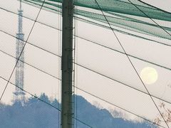 -合肥野生动物园