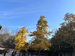 -狼山风景名胜区