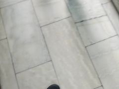 -添彩臻宴