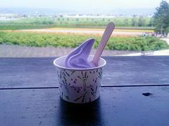 -富田农场