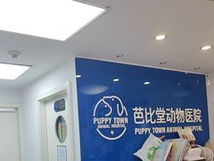 -芭比堂动物医院·心脏科·老年急重症·夜诊·吉雅分院