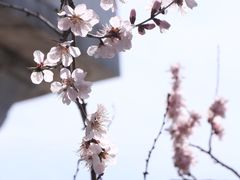 -北海公园