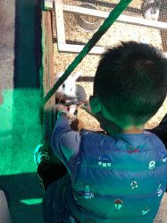 -酷嗒动物文化乐园(cutezoo西溪乐天城店)