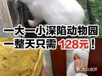 一大一小深陷动物园一整天只需128元!