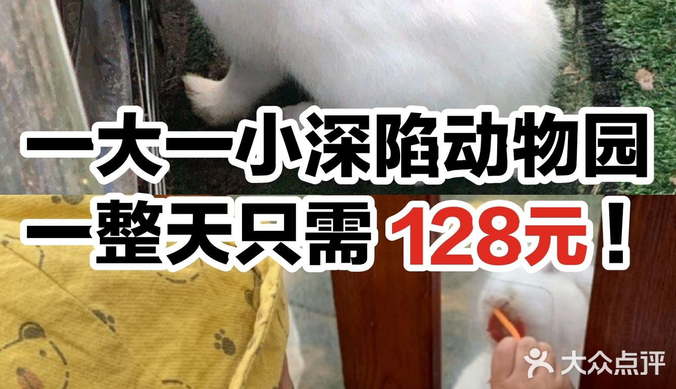 一大一小深陷动物园一整天只需128元!
