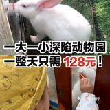 一大一小深陷动物园一整天只需128元!
