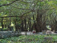 -北海市海滨公园