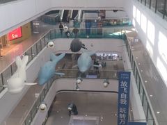 -上海颛桥万达广场