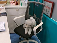 -博特宠物医院24h犬猫全科.骨科·异宠