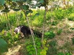 -石家庄市动物园