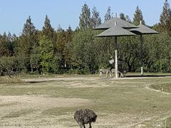 -宁波野生动物园