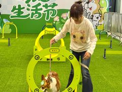 -砂之船奥特莱斯(合肥店)