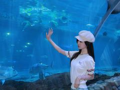 -华夏文旅海洋公园