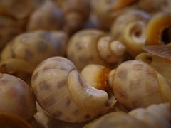 -拉完海鲜大排档(温岭店)