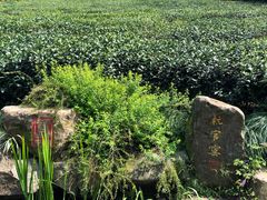 -中国茶叶博物馆(双峰馆区)