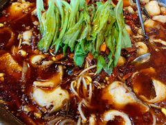 麻辣石锅鱼-都江堰石锅鱼