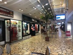 -台场海滨公园船码头