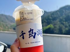 -千岛湖天屿景区