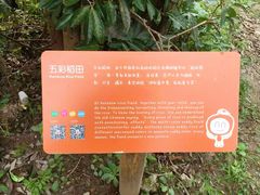 -前小桔亲子创意农场·草莓采摘·露营烧烤