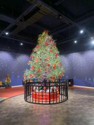 -幻贝家儿童乐园(温州银泰城店)