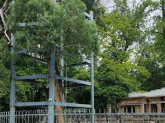 -东南大学(四牌楼校区)