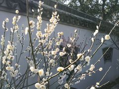 -无锡梅园公园
