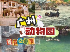 -广州动物园
