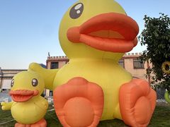 -巨鹏飞梦幻海岸