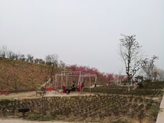 -绵阳盛世樱花悠乐谷