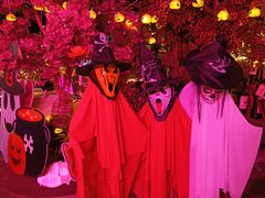 -胡桃里乐队酒馆(昙华林店)