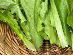 -仁和四季涮肉馆(天坛南门店)