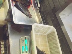 -老凯俚酸汤鱼(鸿通城店)