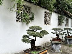 -西园寺素食(西园弄戒幢律寺店)