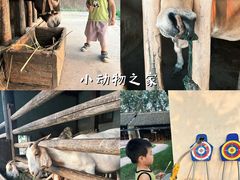 -乌村