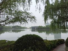 -大宁郁金香公园-停车场