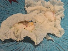 -莆田餐厅PUTIEN(世博源店)