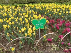 -玄武湖景区-情侣园游乐场